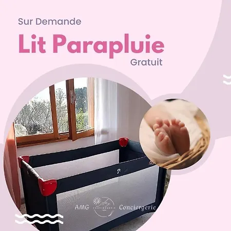 Apartamento Splendide Vue Sur Le ! 5mn Des Plages, Parking Privé Veyrier-du-Lac