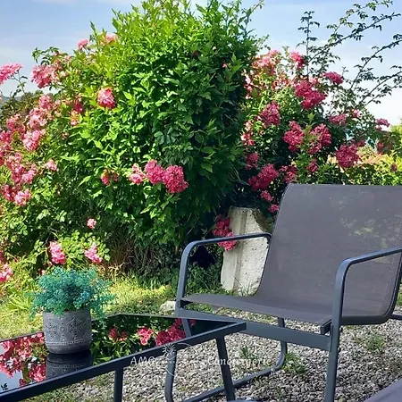 Splendide Vue Sur Le ! 5mn Des Plages, Parking Privé * Veyrier-du-Lac